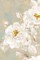 White Rose II Poster Print by Eva Watts - Item # VARPDXEW213A